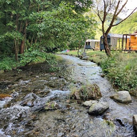 Transfagarasan River Retreat Arefu Buitenkant foto