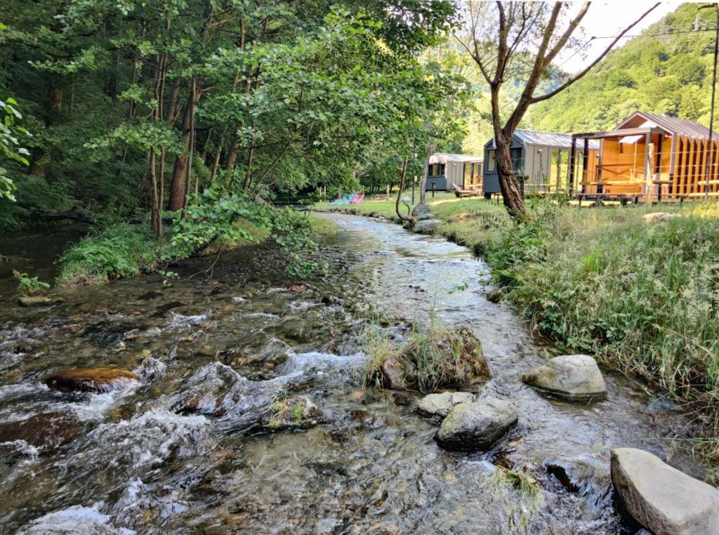 Transfagarasan River Retreat Arefu Buitenkant foto
